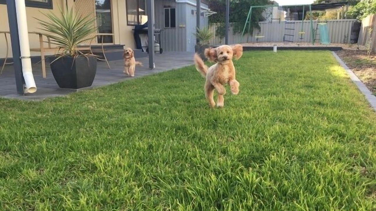 Photo of Others in Goolwa Beach