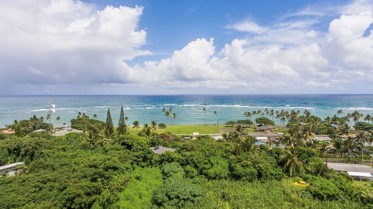 Photo of Others in Ka'a'awa