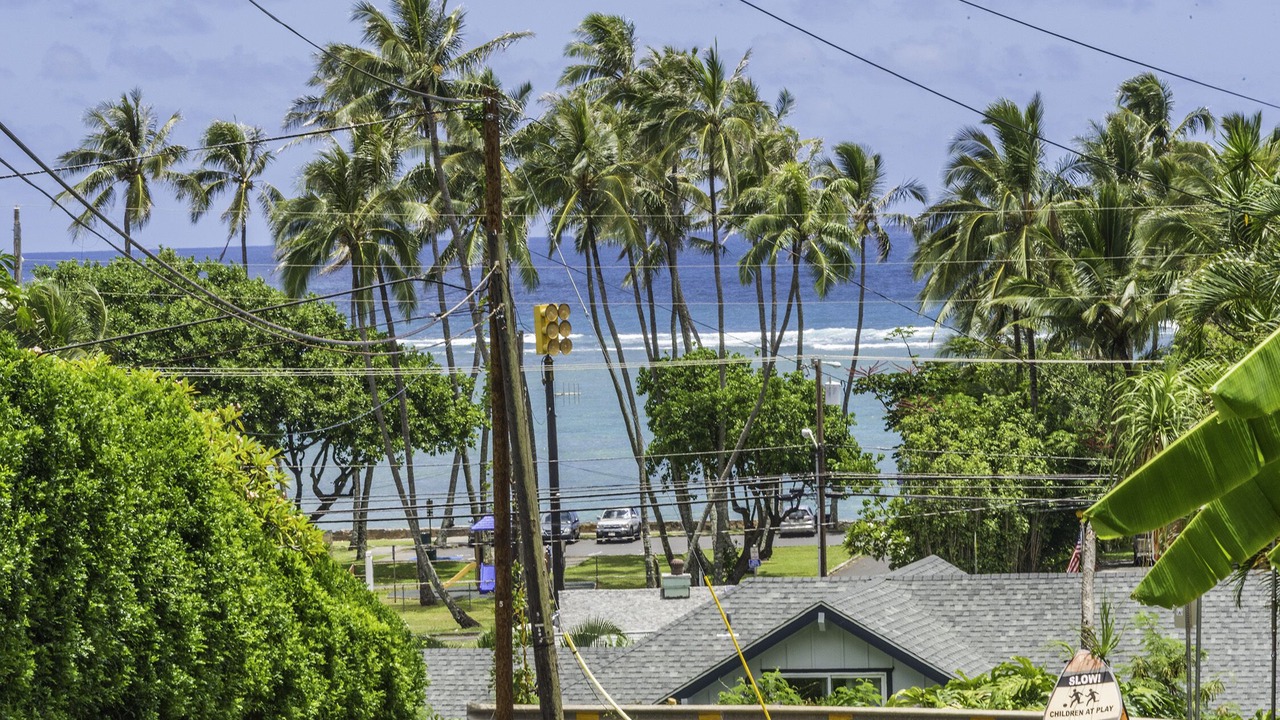 Photo of Others in Ka'a'awa