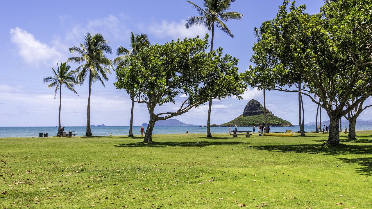Photo of Outdoor in Ka'a'awa