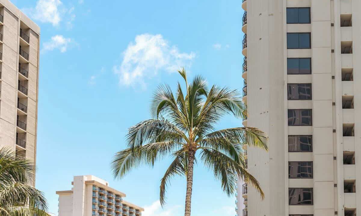Photo of Others in Waikiki