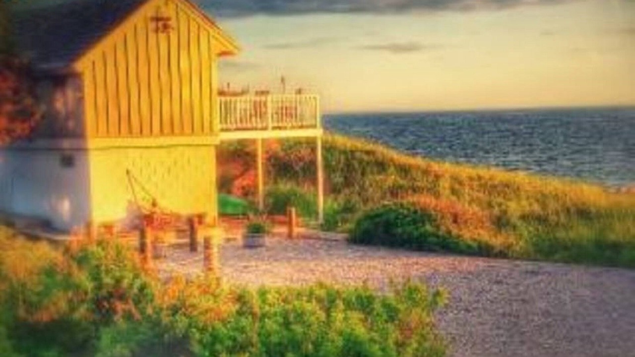 Photo of Others in Wellfleet