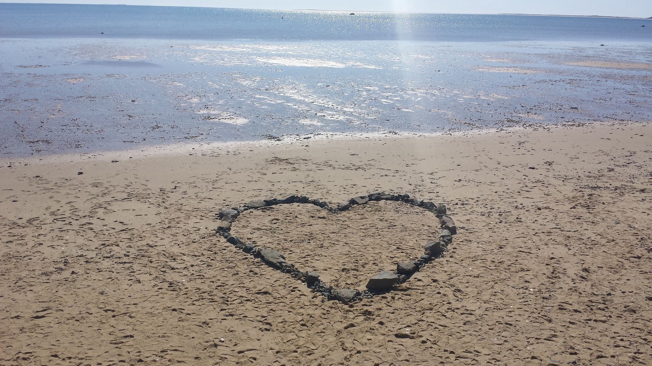 Photo of Others in Wellfleet