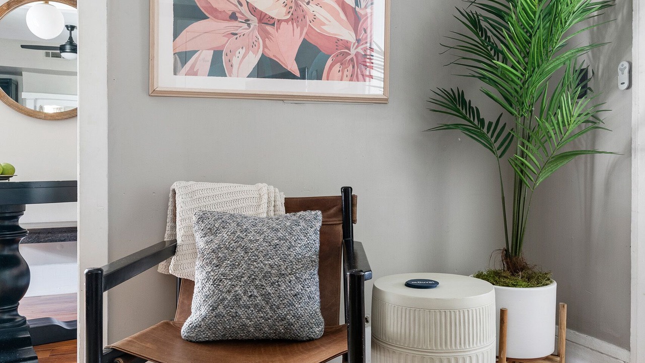 Photo of Livingroom in Cannonborough Elliotborough