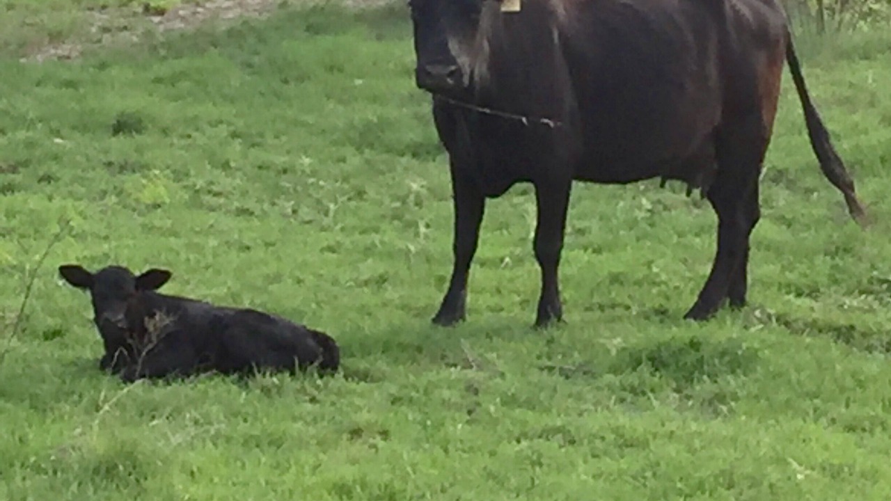 Photo of Others in San Saba