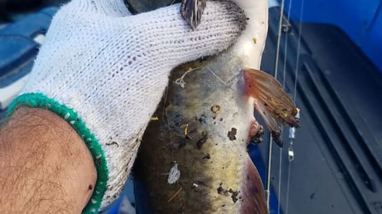 Photo of Others in Warrenton