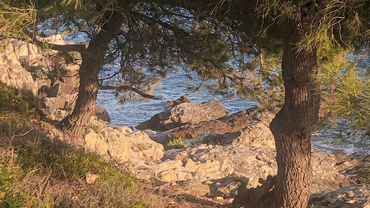 Photo of Others in Muline