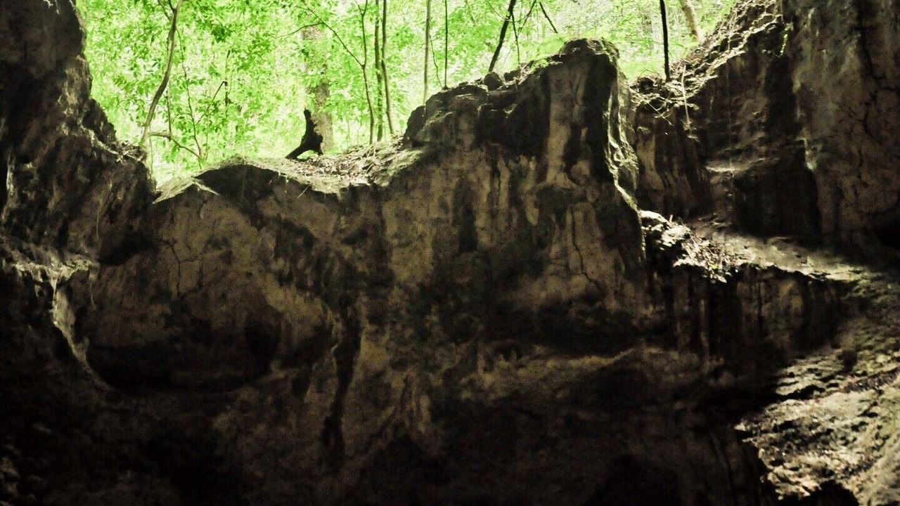 Photo of Others in Las Galeras