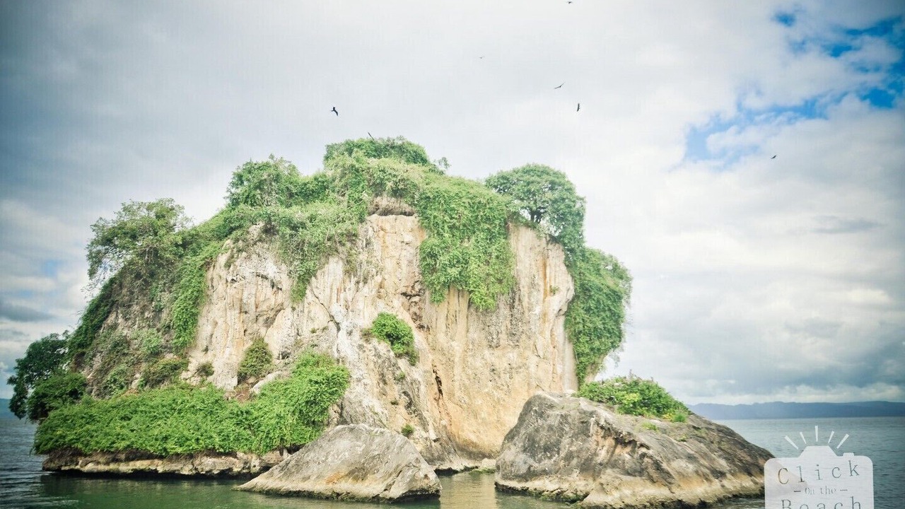 Photo of Others in Las Galeras