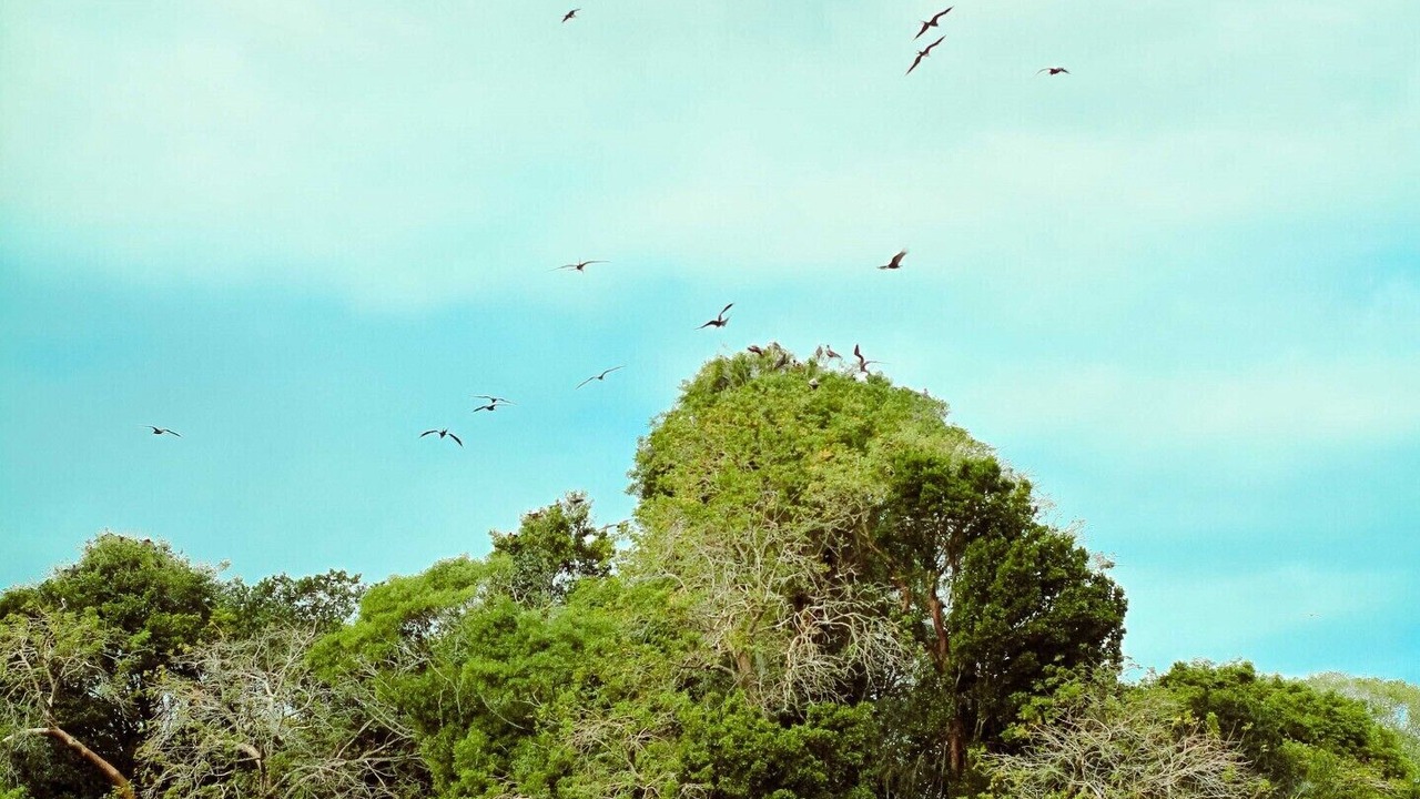 Photo of Others in Las Galeras