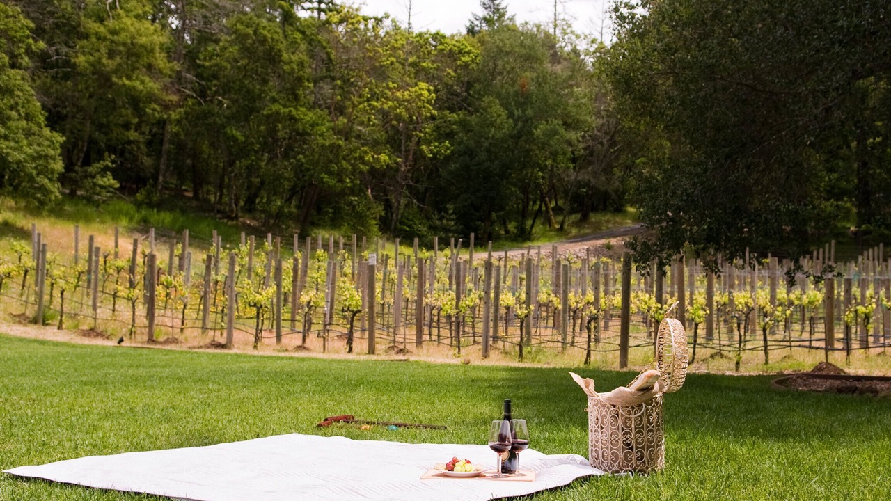 Photo of Outdoor in Glen Ellen