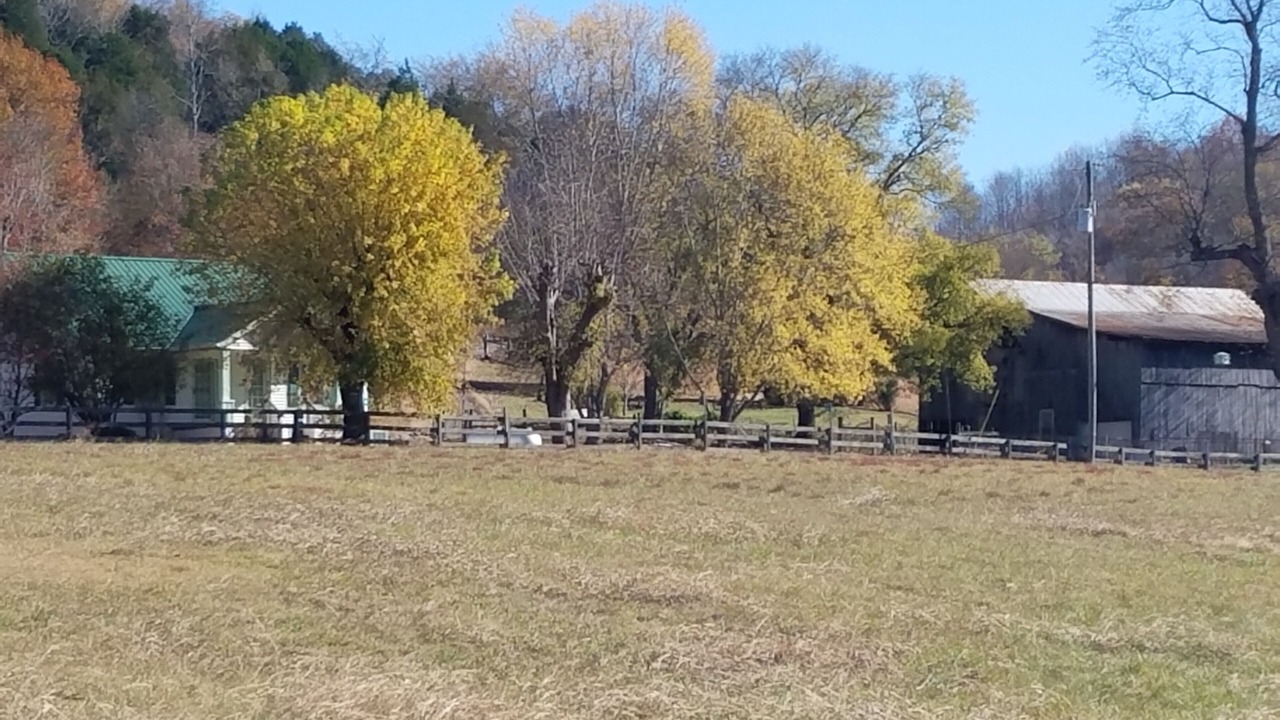 Photo of Others in Thompson's Station