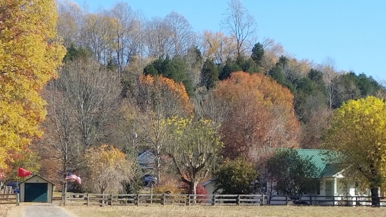 Photo of Others in Thompson's Station