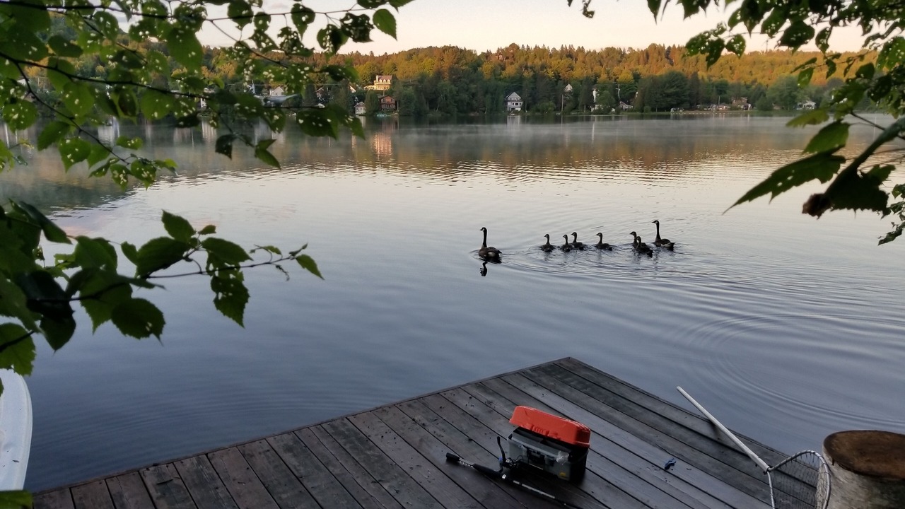 Photo of Outdoor in Saint-Faustin-Lac-Carre