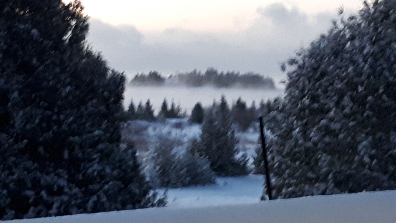 Photo of Others in Miller Lake