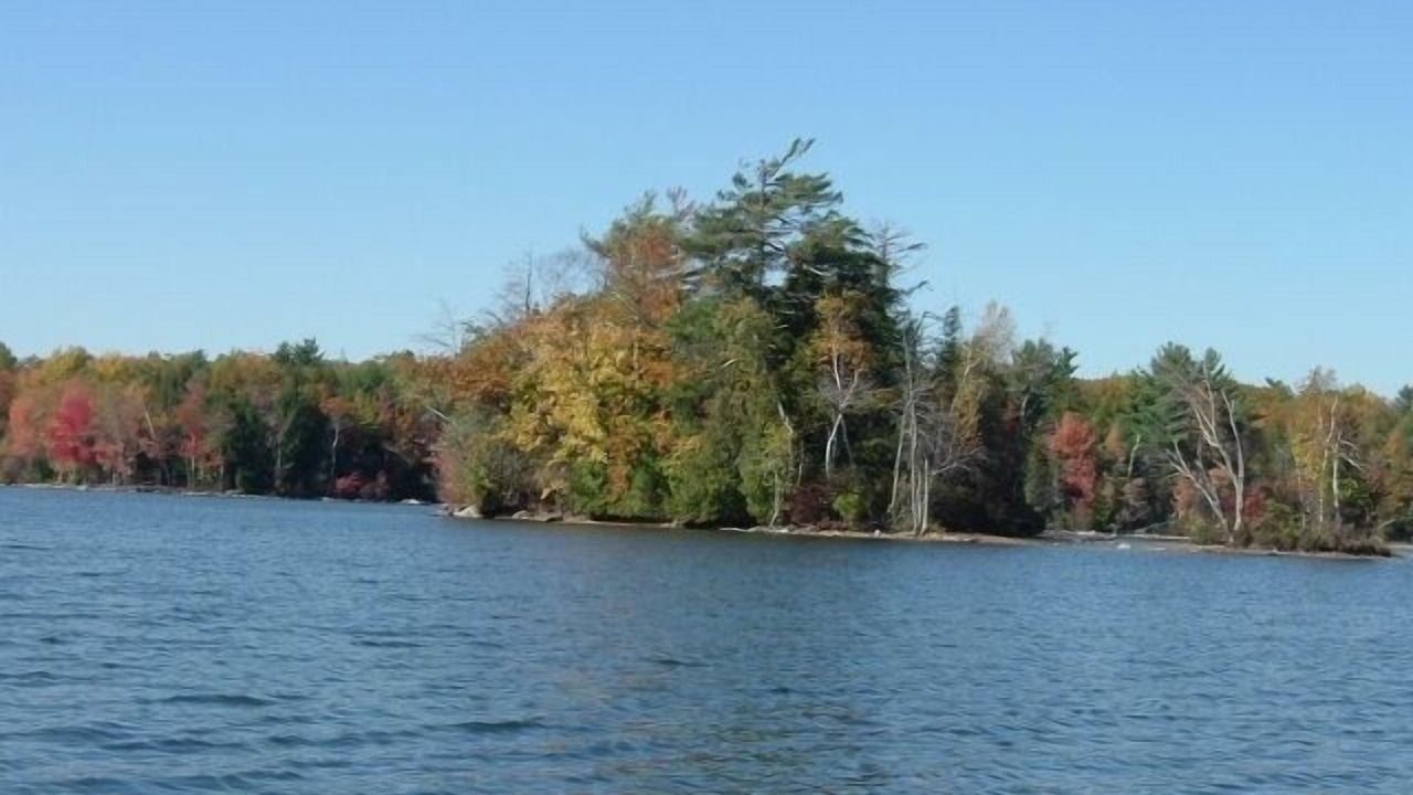 Photo of Others in Purgatory