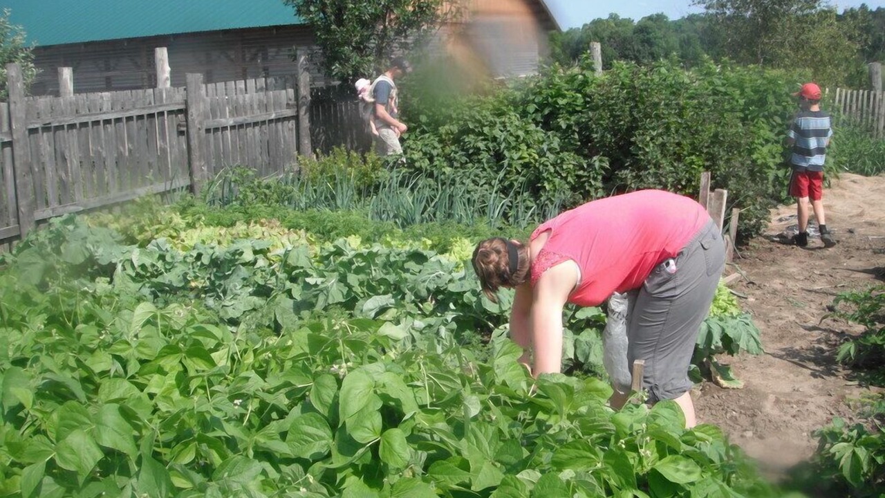 Photo of Others in Bonnechere Valley