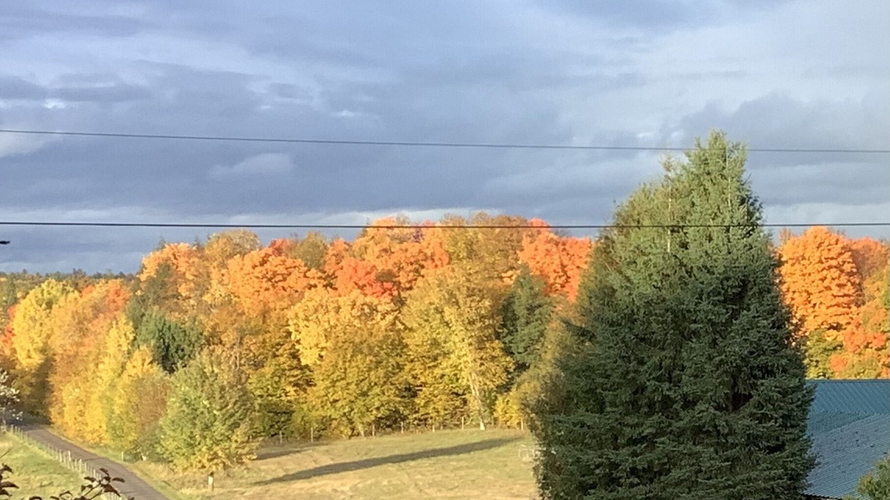Photo of Others in Bonnechere Valley