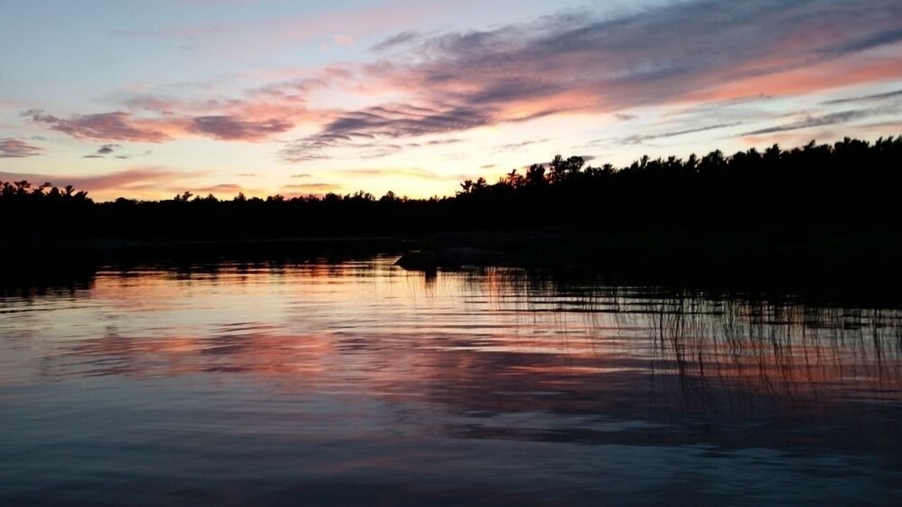 Photo of Others in Byng Inlet