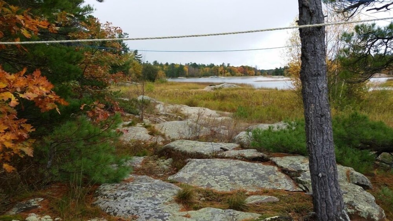 Photo of Others in Byng Inlet