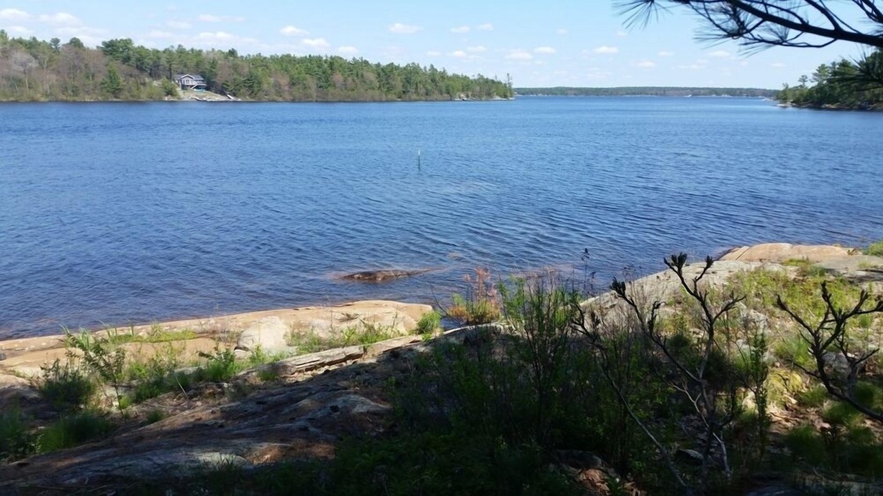 Photo of Others in Byng Inlet