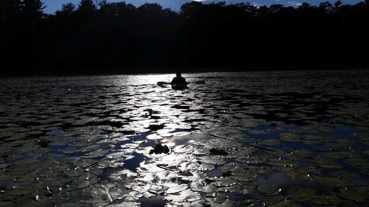 Photo of Others in Byng Inlet
