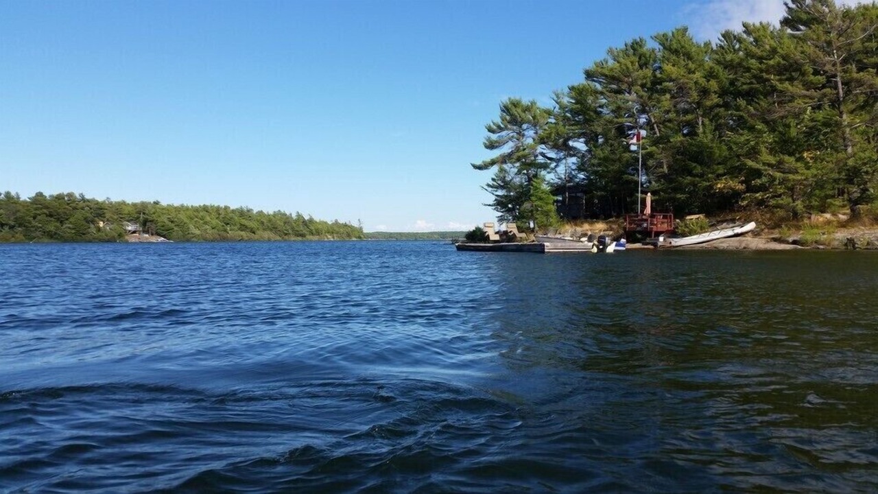 Photo of Others in Byng Inlet