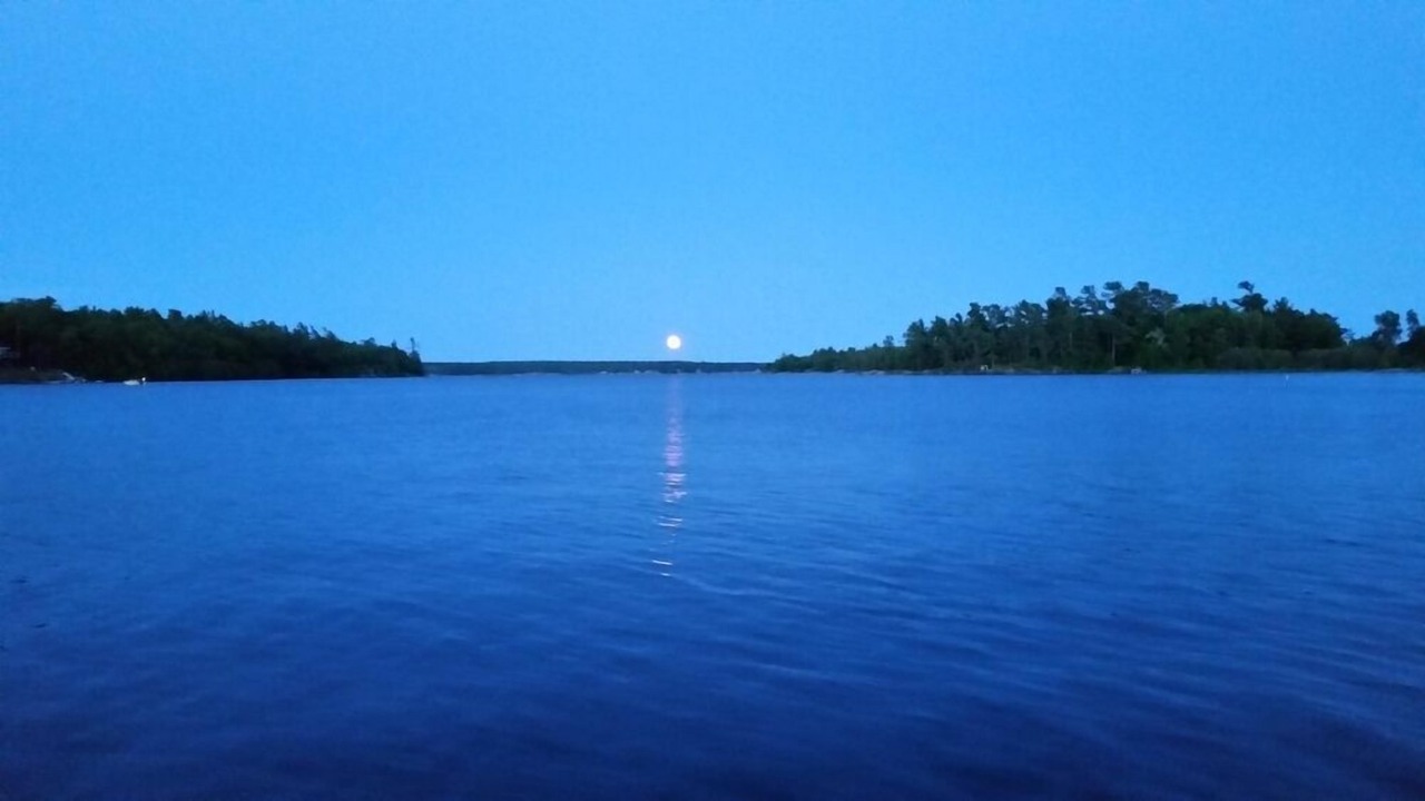 Photo of Others in Byng Inlet