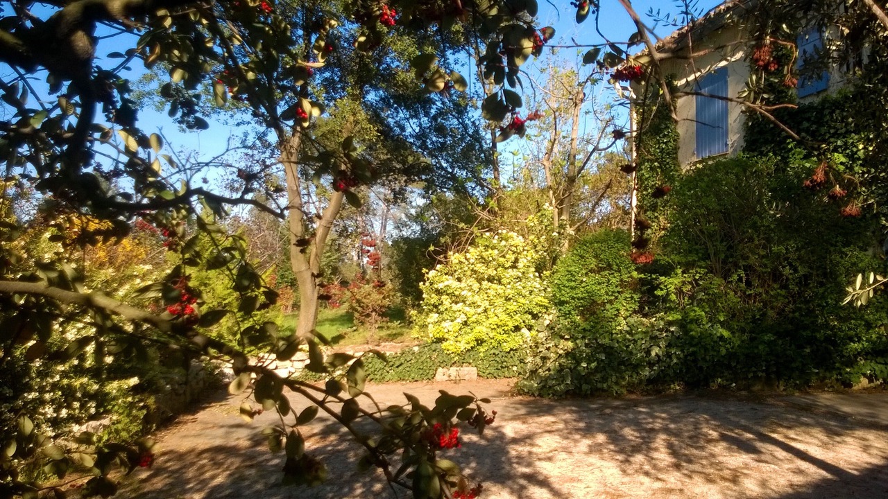 Photo of Others in Barbentane