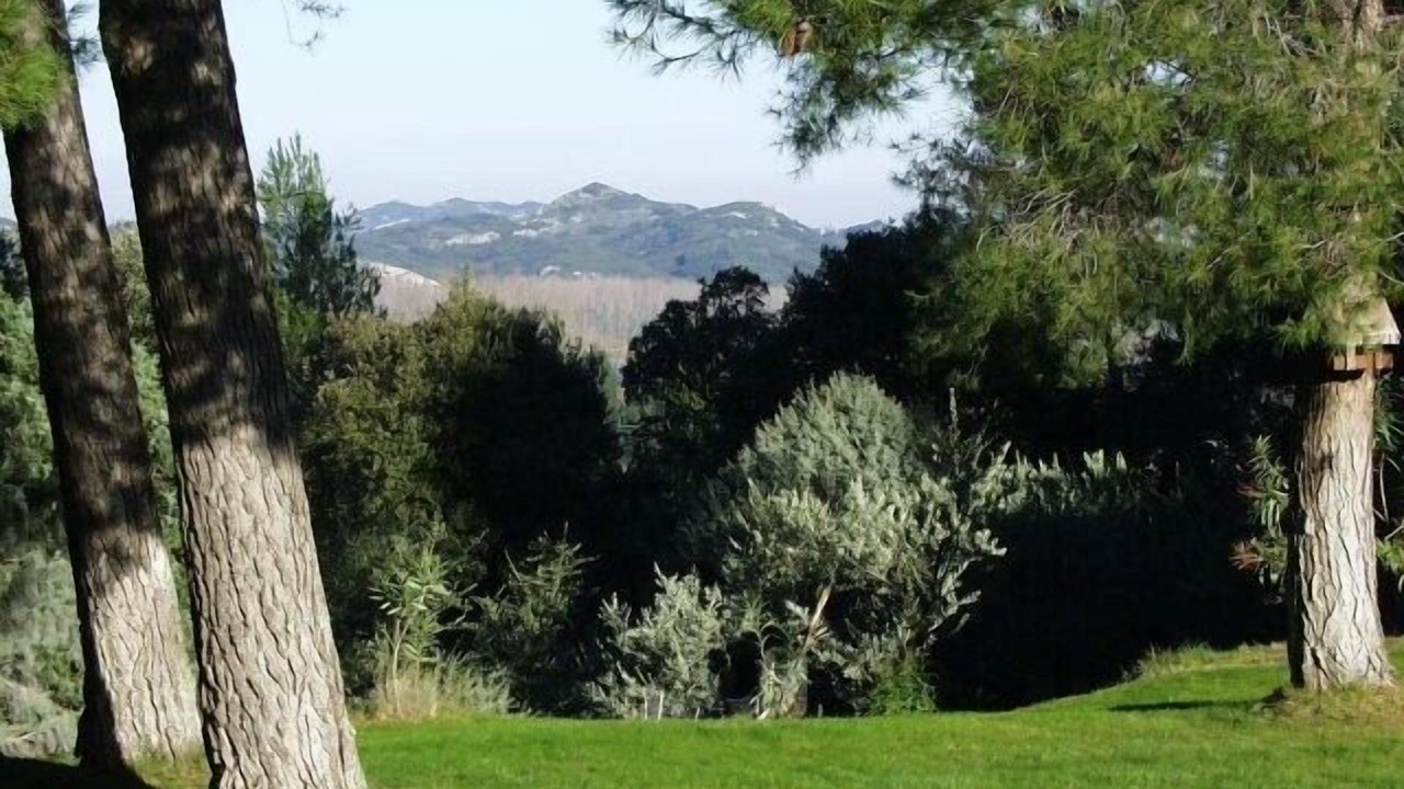 Photo of Others in Barbentane