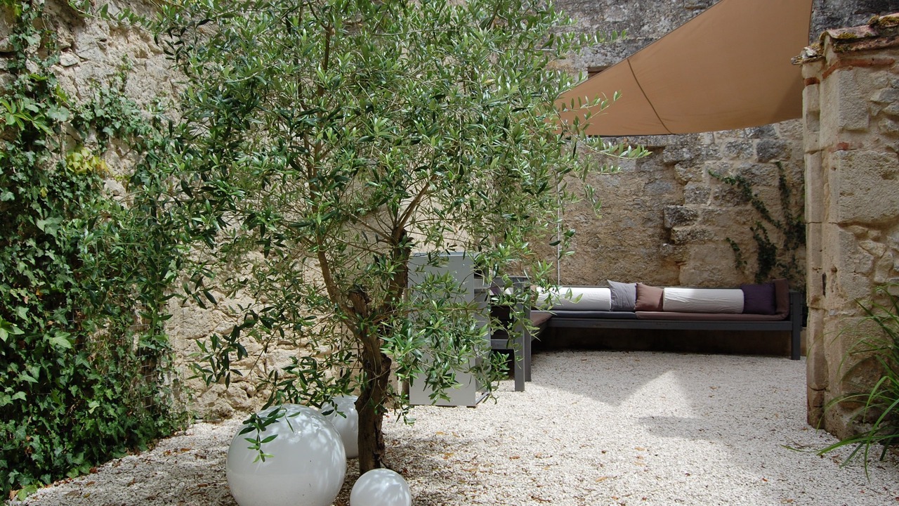 Photo of Outdoor in Castelsagrat
