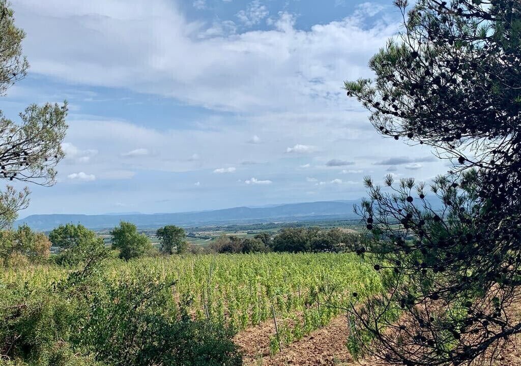 Photo of Outdoor in Caunes-Minervois