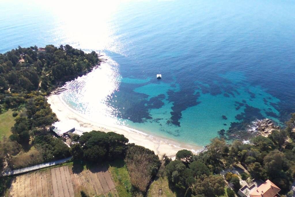 Photo of Others in Bormes-Les-Mimosas