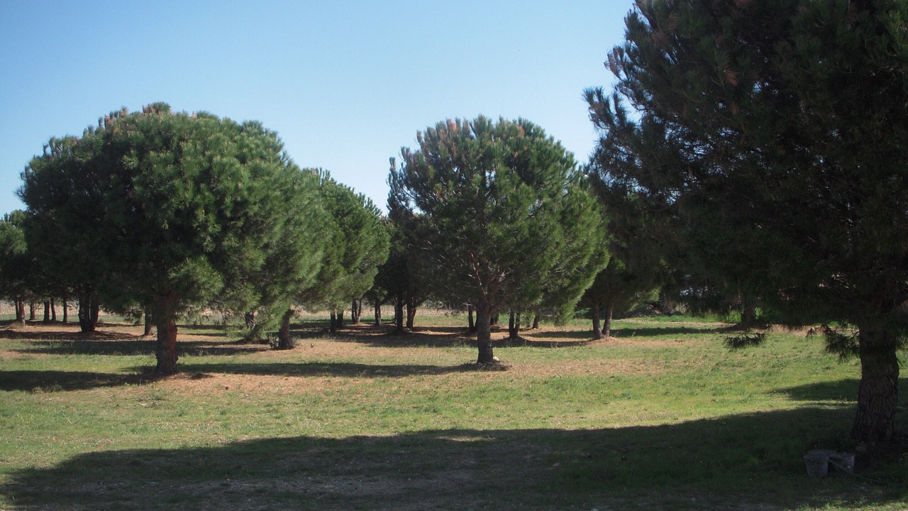 Photo of Outdoor in Perpignan