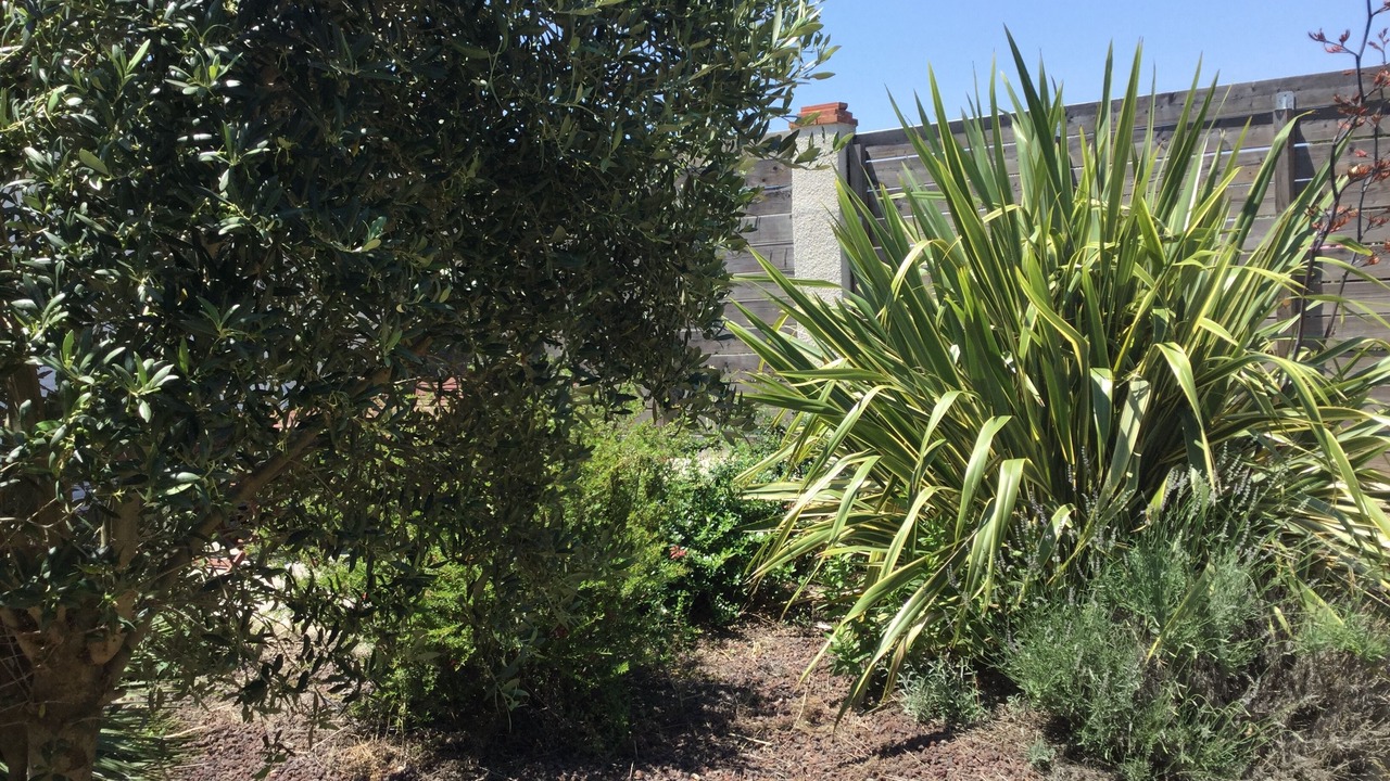 Photo of Outdoor in Perpignan