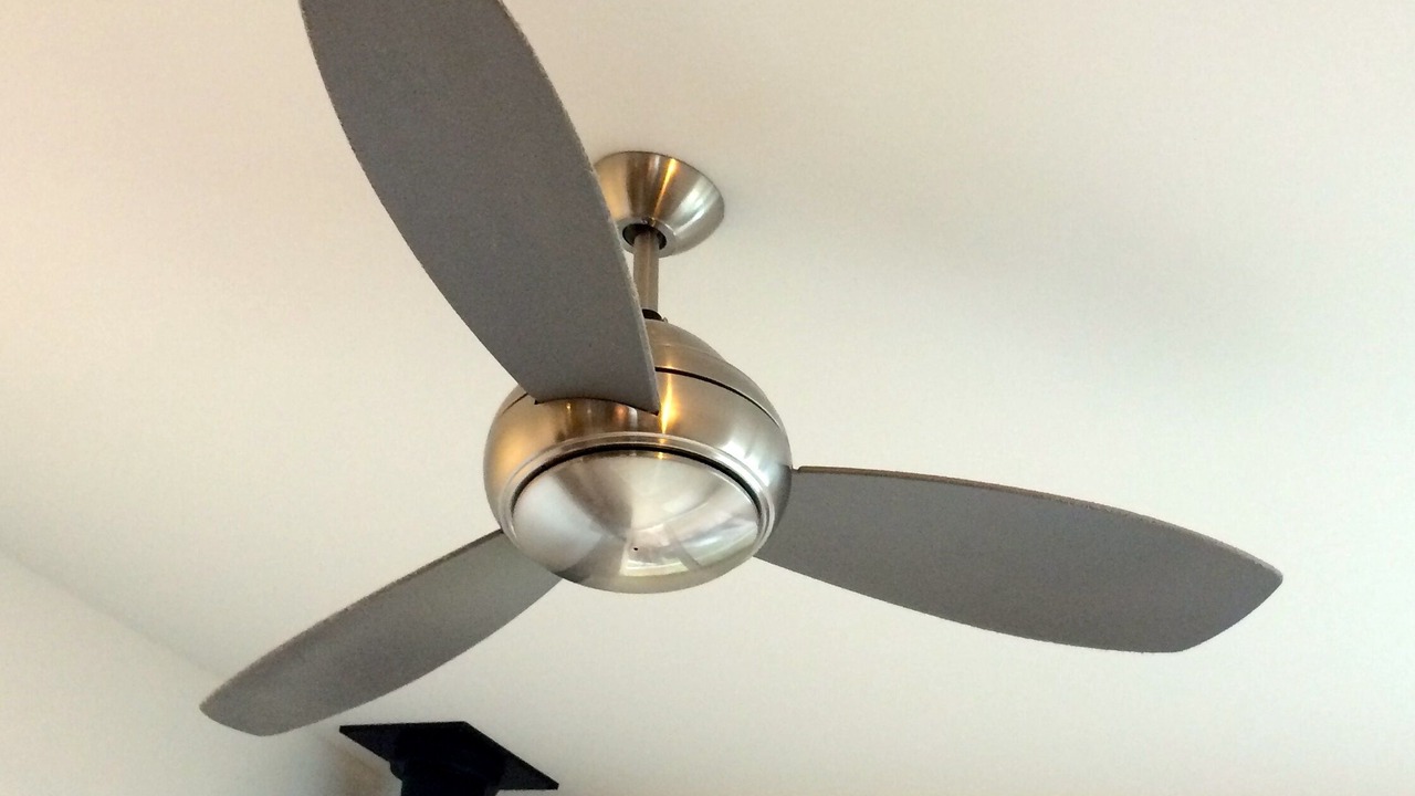 Photo of Others in Eastsound