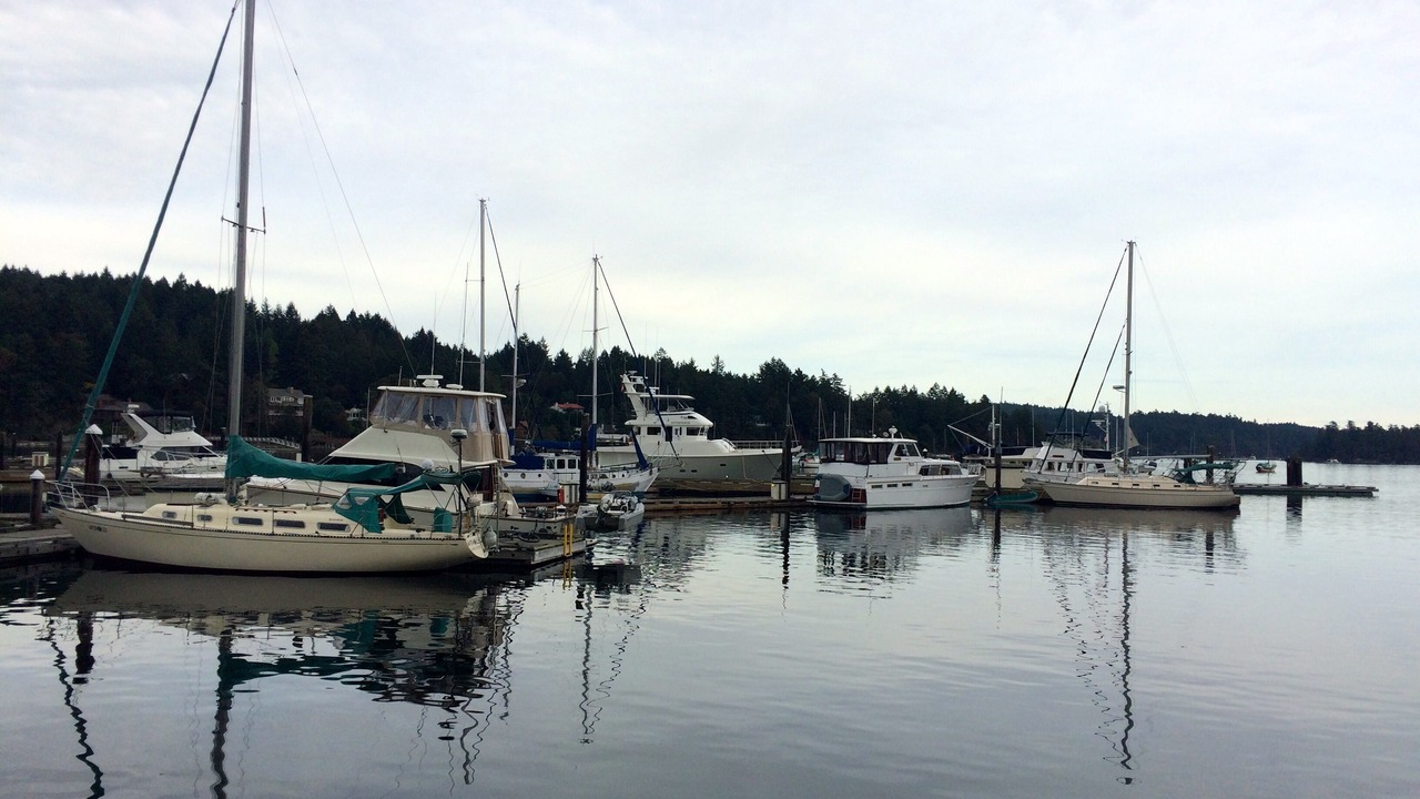 Photo of Outdoor in Eastsound