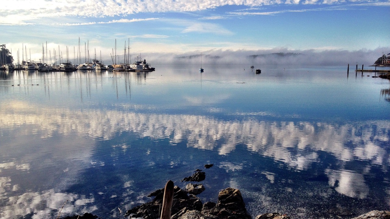 Photo of Others in Eastsound