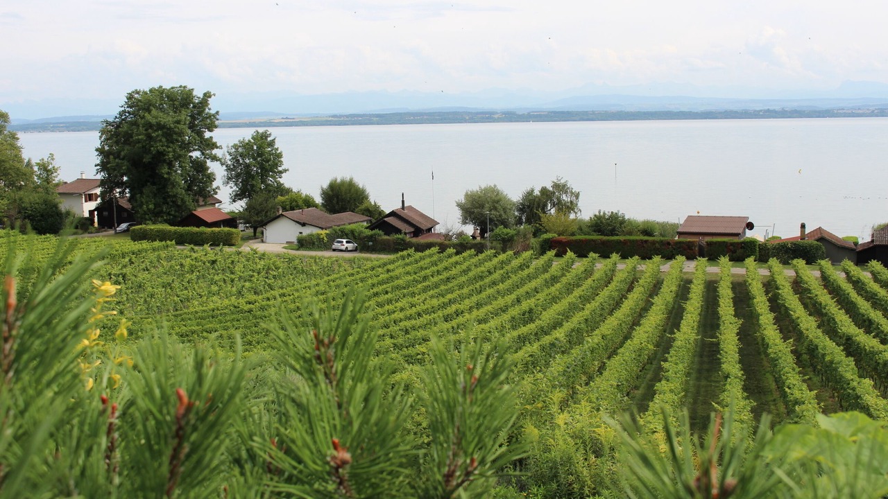 Photo of Outdoor in Bevaix