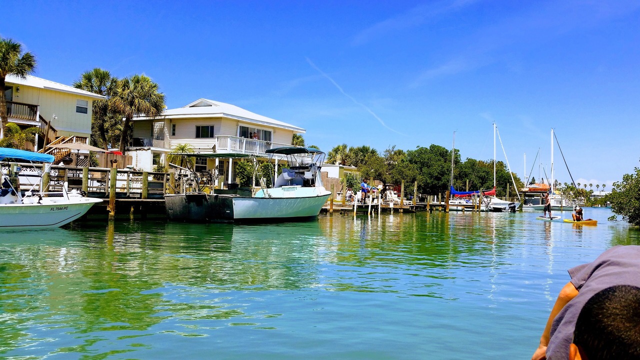 Photo of Others in Nokomis