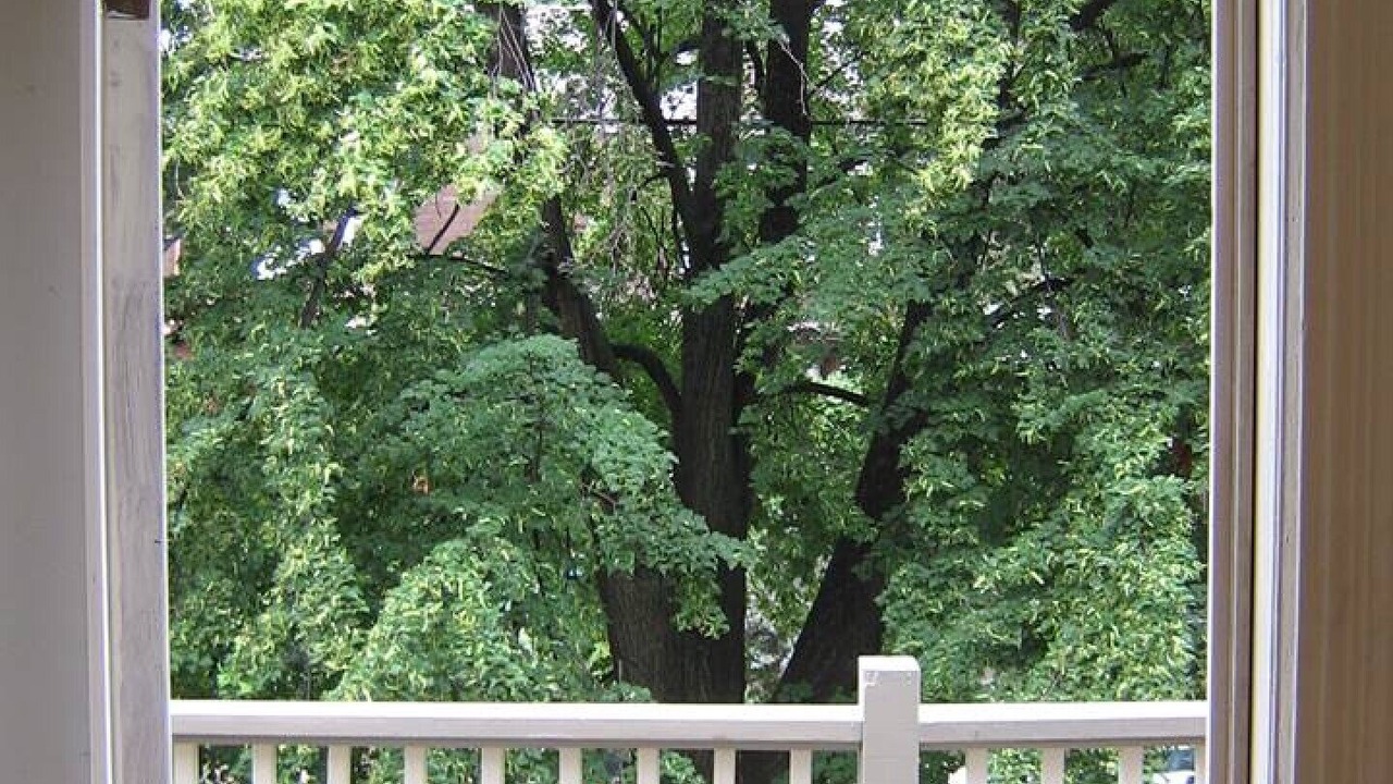 Photo of Others in Roncesvalles Village