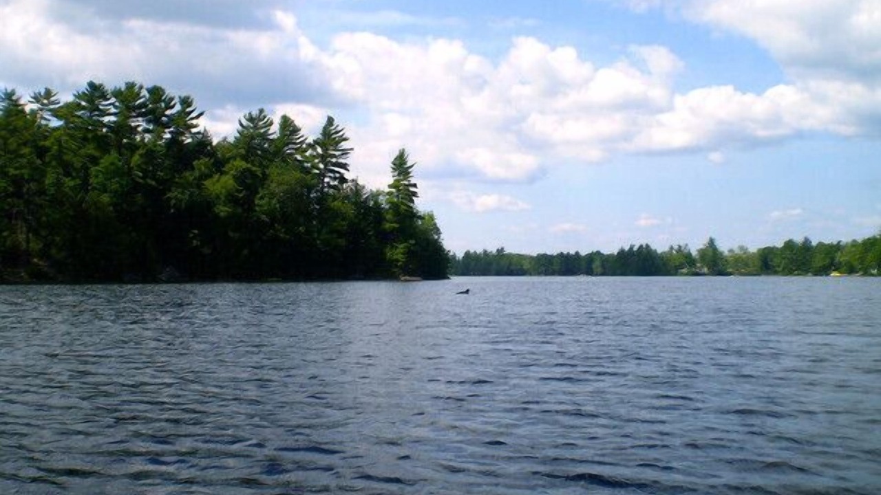 Photo of Outdoor in Gravenhurst