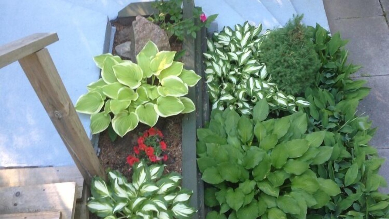 Photo of Outdoor in Gravenhurst