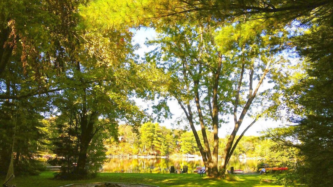 Photo of Others in Gravenhurst