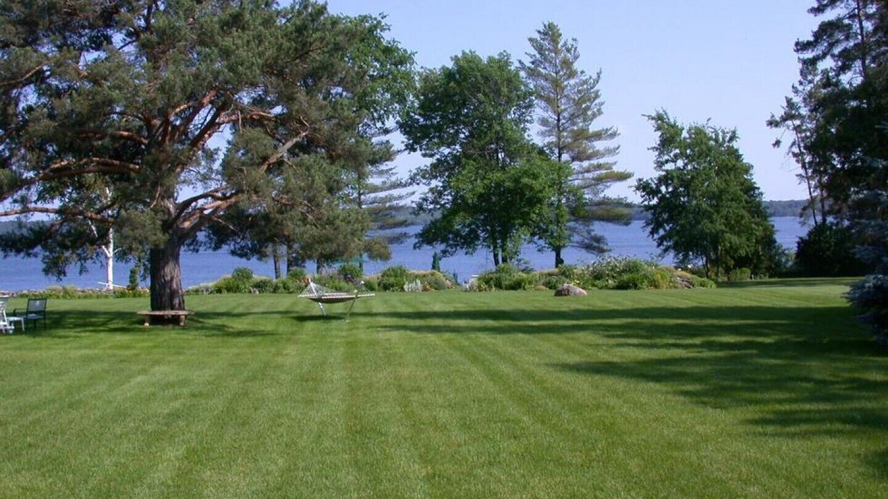 Photo of Others in Shanty Bay