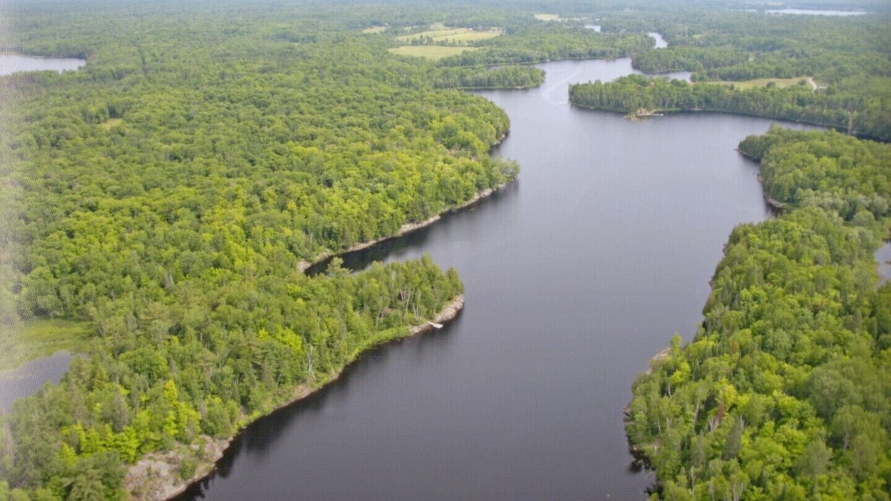 Photo of Outdoor in McKellar