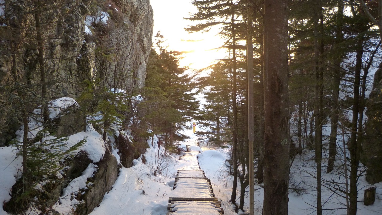 Photo of Outdoor in Saint-Simon
