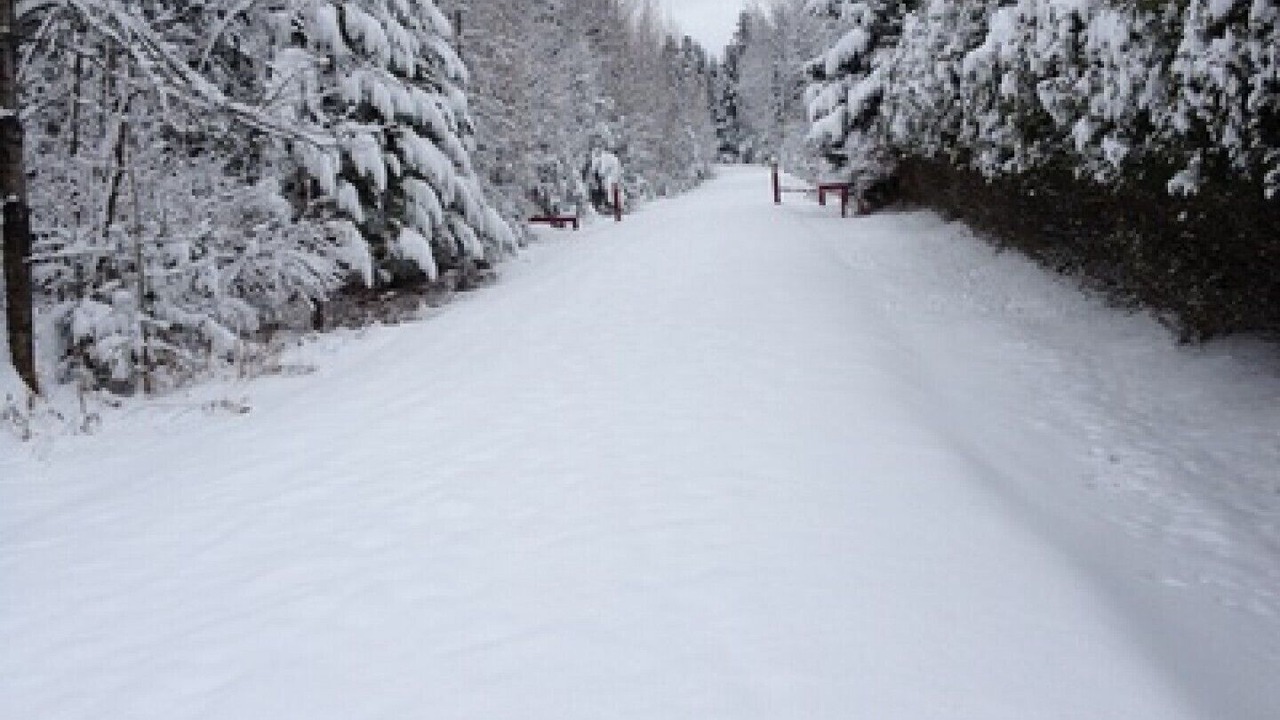 Photo of Others in Mont-Tremblant