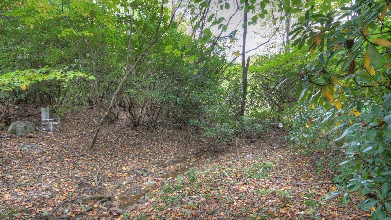 Photo of Others in Seven Devils