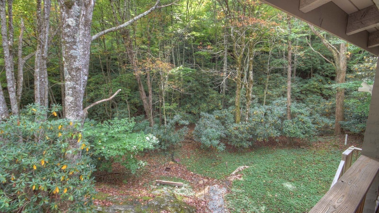 Photo of Others in Seven Devils